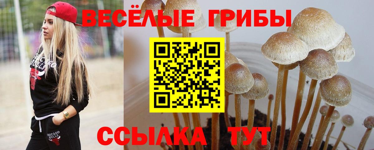 Галлюциногенные грибы ЛСД Алексеевка