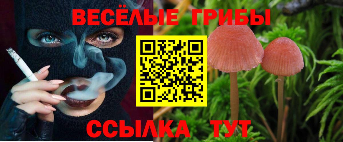 Алексеевка  Галлюциногенные грибы Magic Shrooms  Вход с VPN  Псилоцибиновые грибы Psilocybine cubensis 